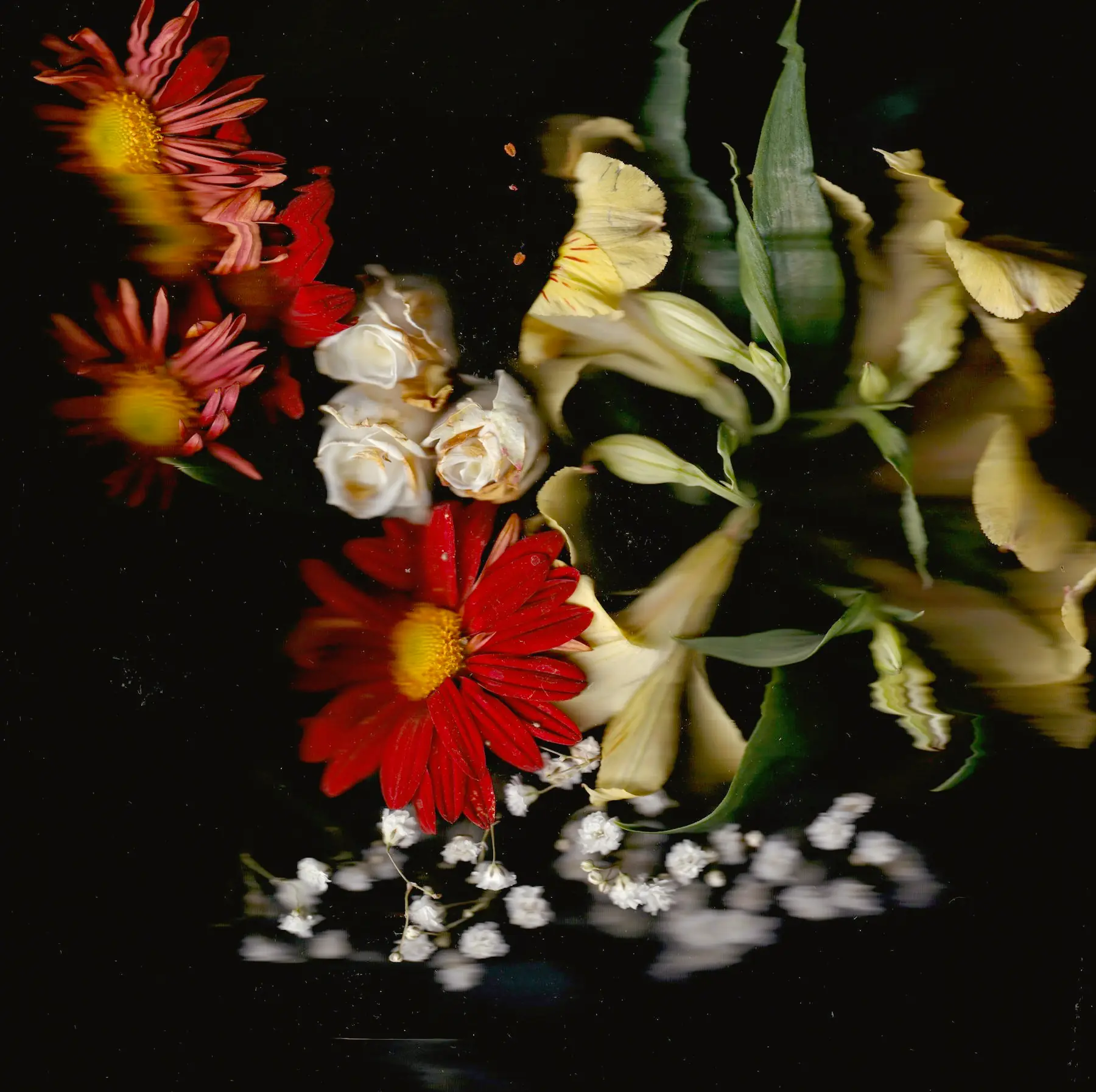 Ramo de novia con gerberas y lirios sobre fondo negro