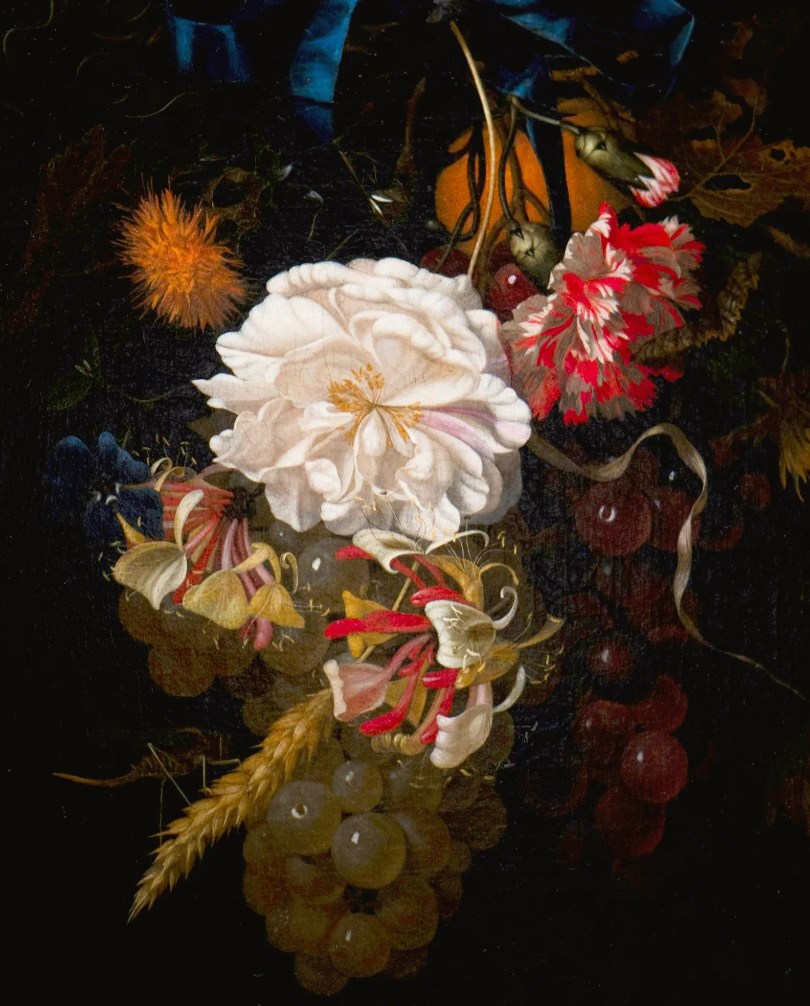 Bodegón floral con rosa, uvas y follaje sobre fondo negro